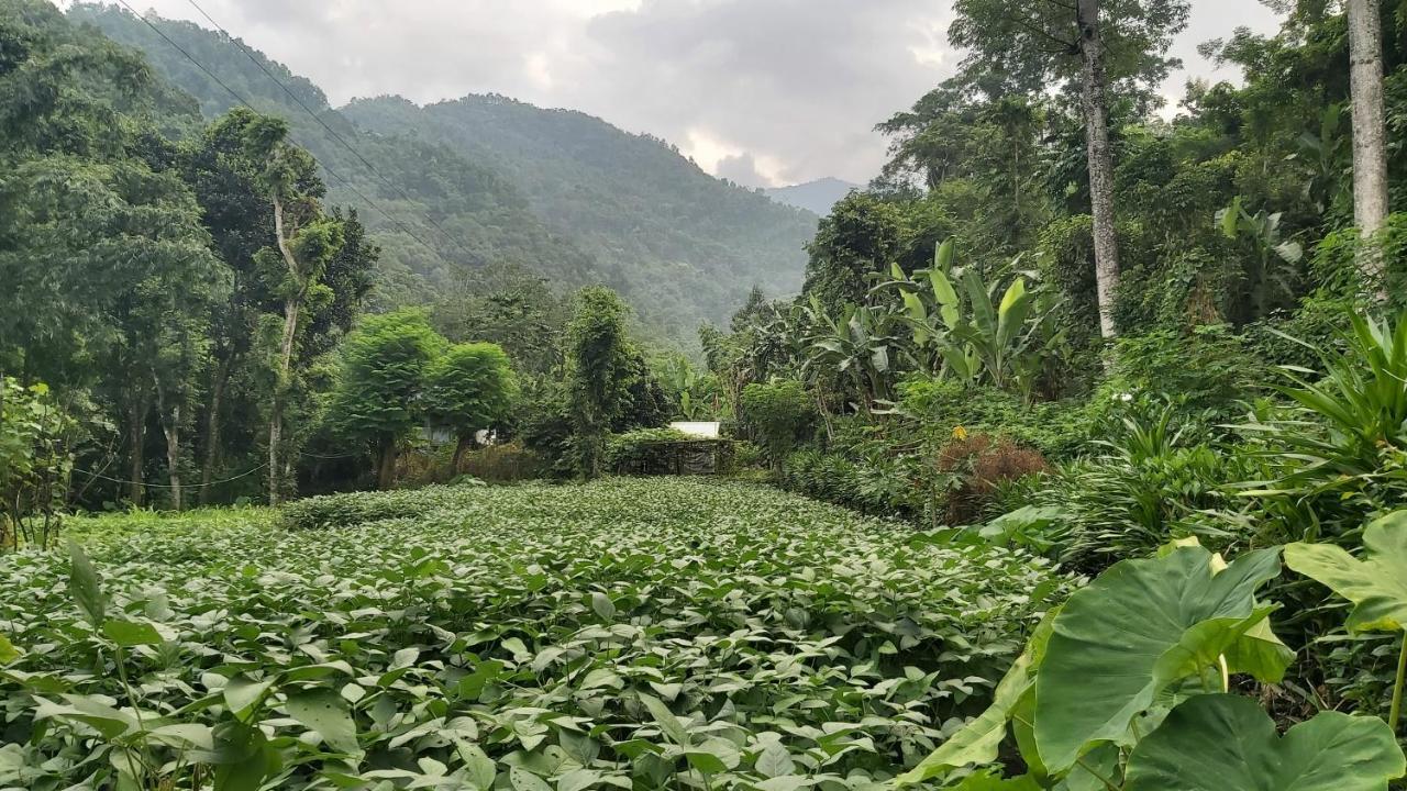 Eviana Homestay Darjeeling  Bagian luar foto