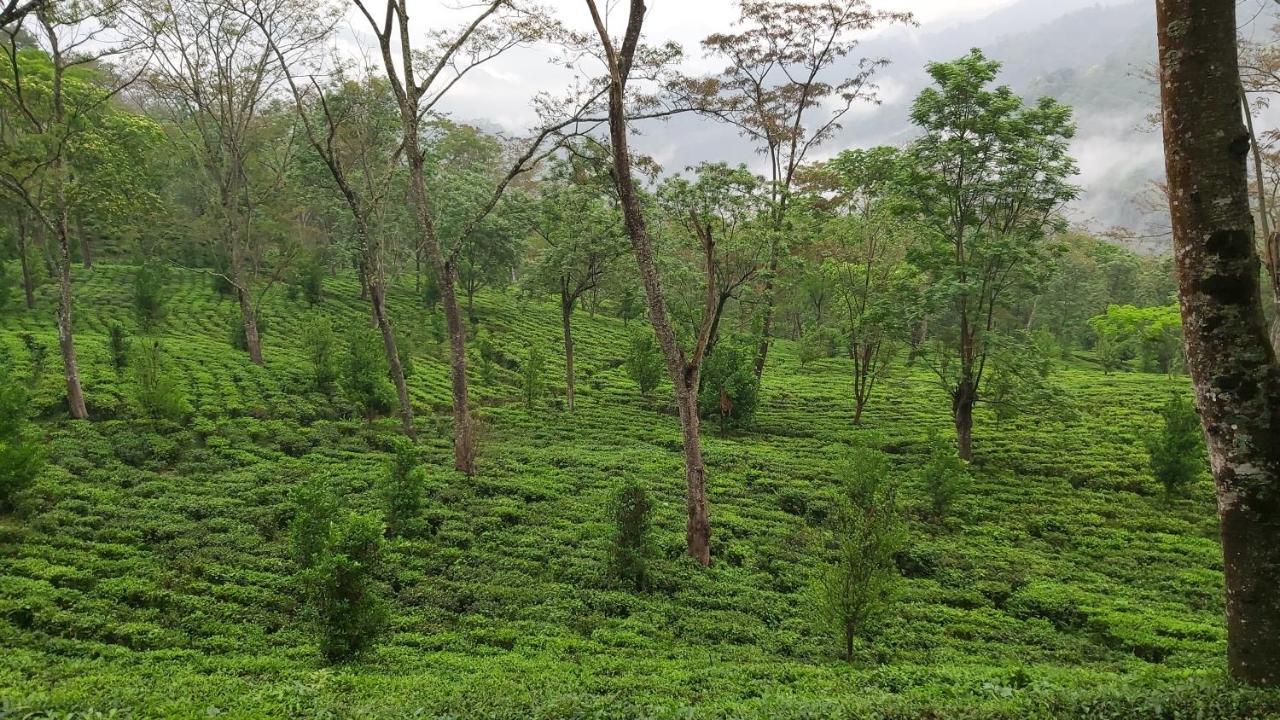 Eviana Homestay Darjeeling  Bagian luar foto