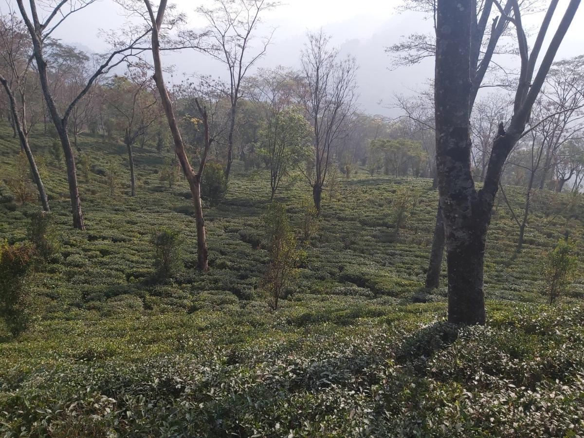 Eviana Homestay Darjeeling  Bagian luar foto