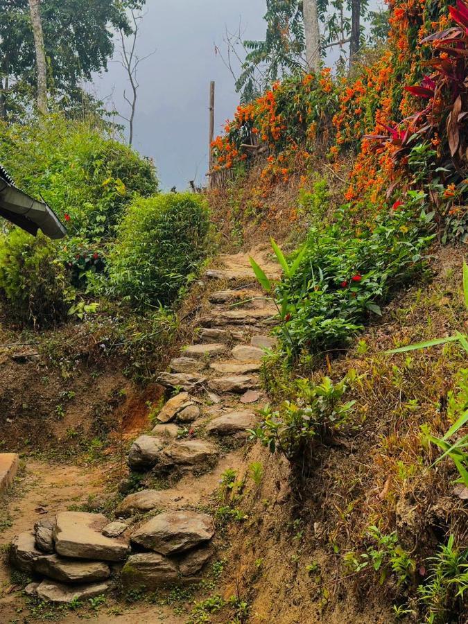 Eviana Homestay Darjeeling  Bagian luar foto