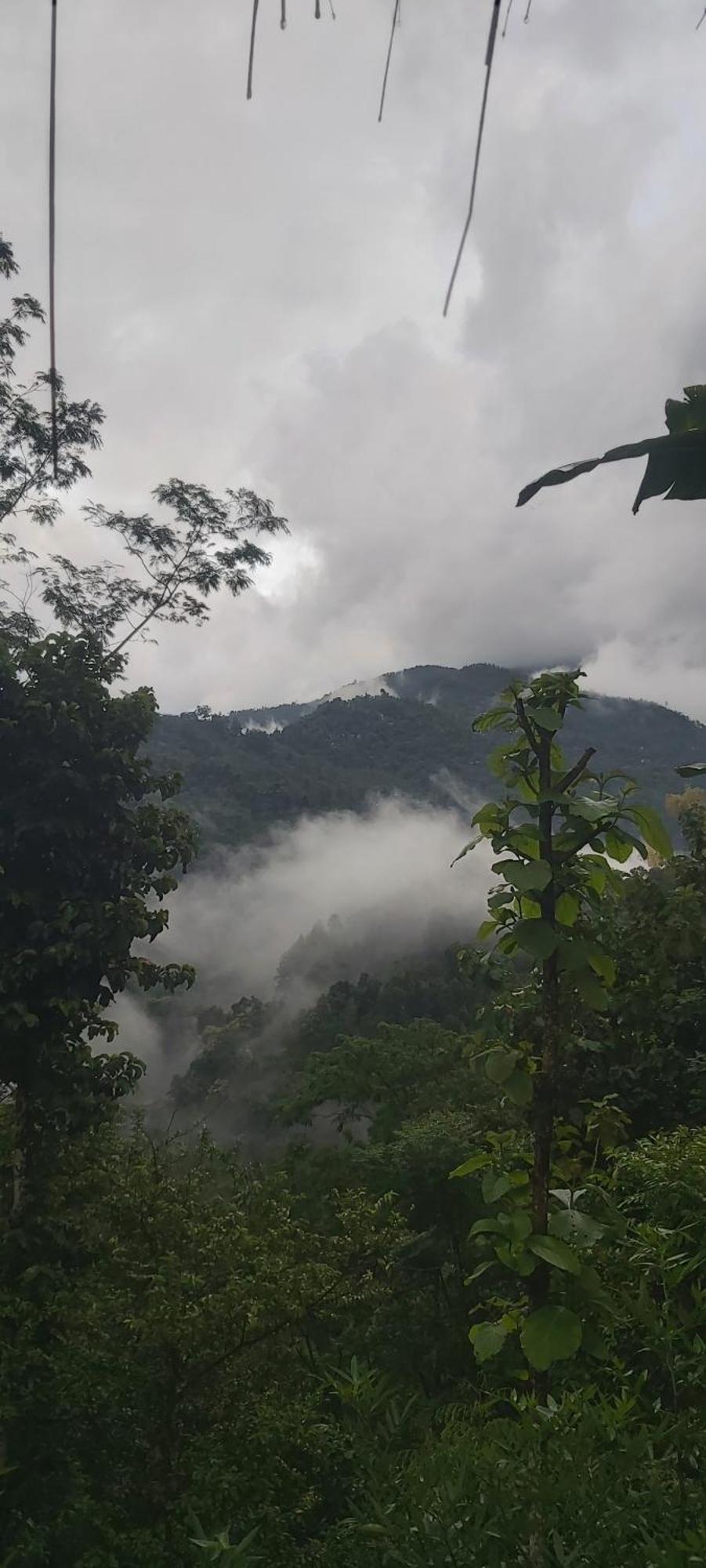 Eviana Homestay Darjeeling  Bagian luar foto